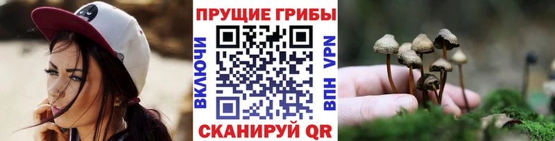 кракен ССЫЛКА  наркотики  Георгиевск  Псилоцибиновые грибы мухоморы 