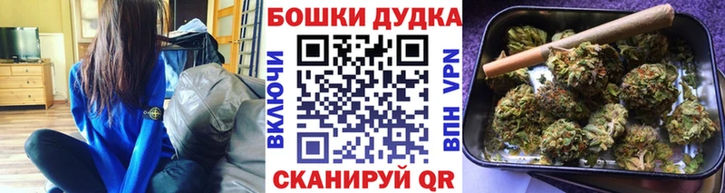 МАРИХУАНА план  Георгиевск 